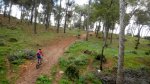 DSCN4842.jpg
