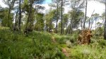 DSCN4931.jpg
