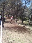 IMG333.jpg