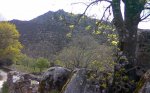 Imagen004 La Machota.jpg