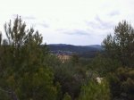 IMG-20120506-WA0002.jpg