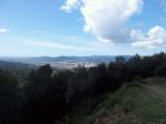 IMG-20120506-WA0005.jpg