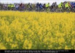 giro12st02-bright.jpg
