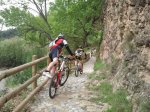 2012-05-05 10.52.36.jpg