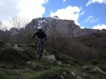IMG_0262.jpg