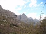 DSCF0020.JPG