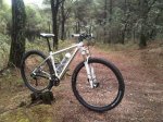 por el monte 3.jpg
