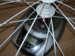 DSCN4198.JPG