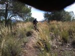 2012-04-07 11.06.31.jpg