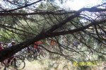 100_3810.JPG