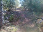 070520121553.jpg