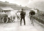 1927 - Tour. 11&#170; etapa, Michelle Gordini afronta el Aubisque.jpg