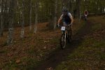 DSC02016legutiano3 (640x428).jpg