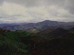 P5050019.jpg