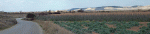 655-Entre-Rincon-de-Soto-y-.gif