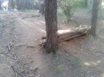 2012-05-07 18.02.35.jpg