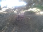 2012-05-07 18.00.37.jpg