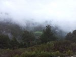 image003.jpg