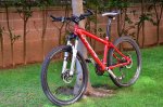 JEM-Biciclo+.jpg