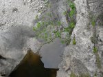 SDC11227.JPG