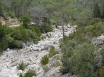 SDC11228.JPG