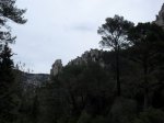 SDC11235.JPG