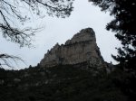 SDC11238.JPG