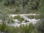 SDC11240.JPG