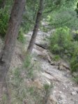SDC11247.JPG