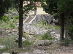 SDC11248.JPG