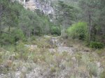 SDC11249.JPG