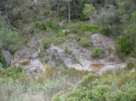 SDC11250.JPG