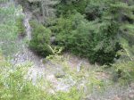 SDC11253.JPG