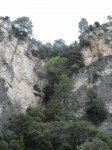 SDC11255.JPG