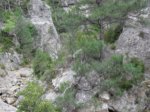 SDC11256.JPG