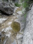 SDC11257.JPG