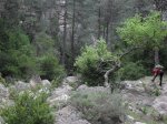 SDC11260.JPG