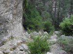 SDC11261.JPG
