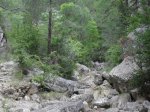 SDC11262.JPG