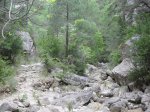 SDC11263.JPG