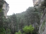 SDC11264.JPG