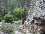 SDC11265.JPG