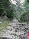 SDC11268.JPG