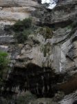 SDC11269.JPG