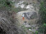 SDC11271.JPG