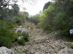 SDC11274.JPG