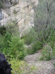 SDC11275.JPG