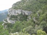 SDC11278.JPG