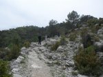 SDC11280.JPG