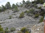 SDC11284.JPG